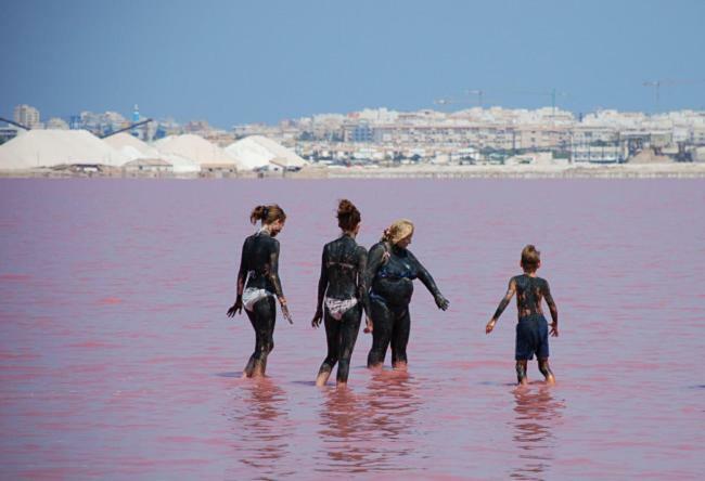Torrevieja Apartment מראה חיצוני תמונה
